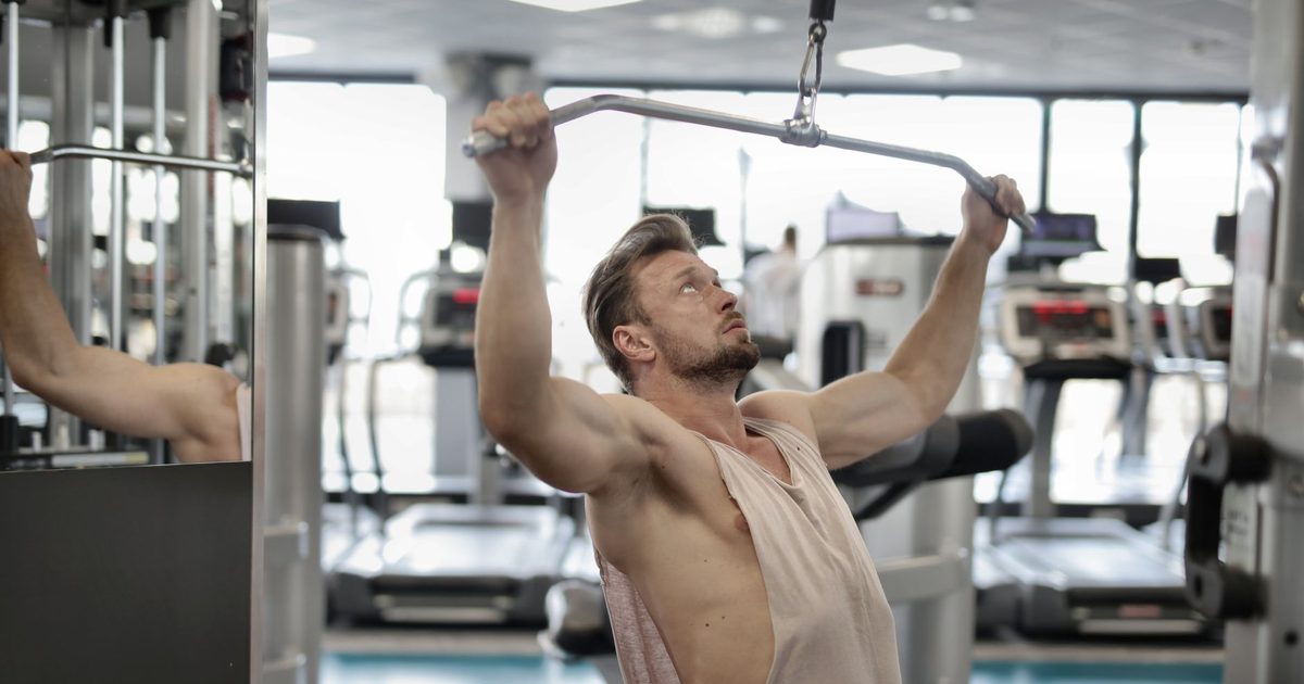 Your First Beginner Pull Day Workout: Build a Strong Back and Biceps